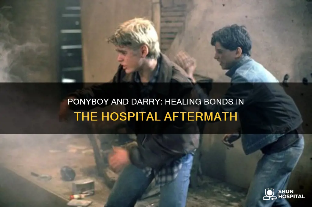 how does ponyboy relationship with darry change in the hospital