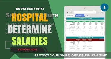 Salary Insights: Shelby Baptist Hospital's Compensation Strategies