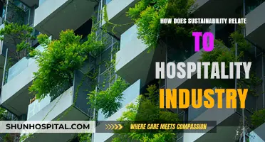 Sustainability in Hospitality: Greening the Guest Experience