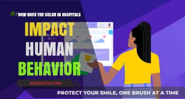 The Psychological Impact of Hospital Colors on Patient Behavior and Healing