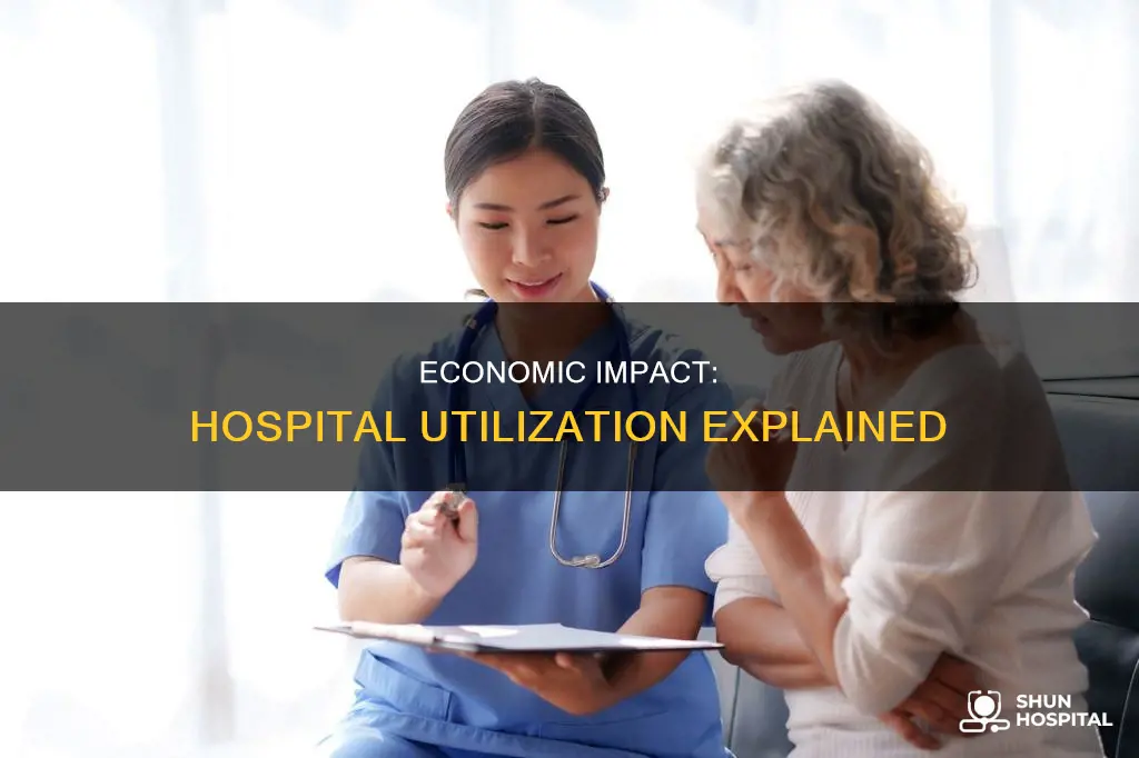 how does the economy effect hospital utilization