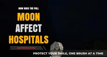 Lunar Impact: Hospitals and the Full Moon
