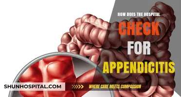Signs of Appendicitis: Hospital Diagnosis and Treatment