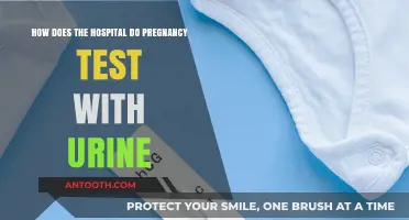 How Hospitals Use Urine Tests to Confirm Pregnancy