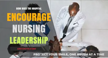Nurturing Nursing Leadership: Strategies for Hospital Success