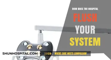 Flushing Out Toxins: Hospital System Detox