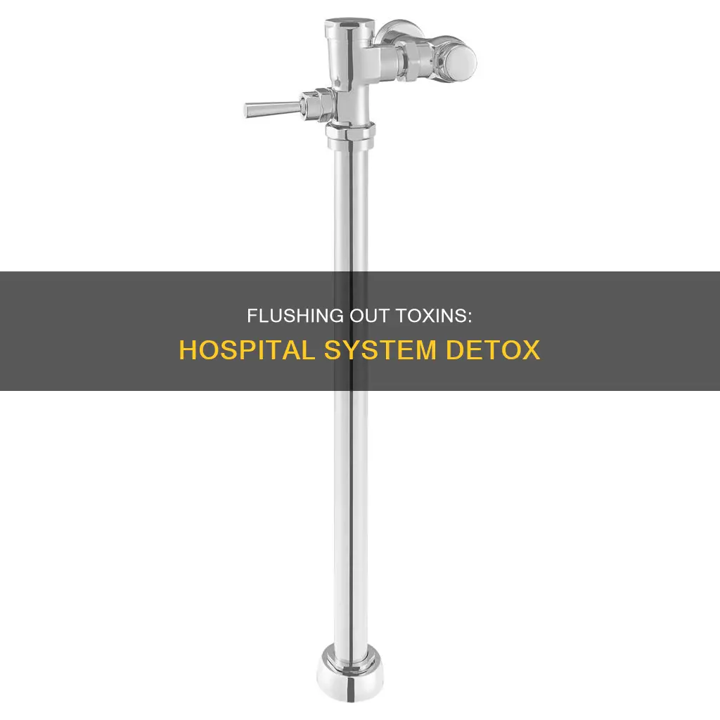 how does the hospital flush your system