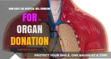 Organ Donation Ethics: Unveiling Hospital Protocols for Life-Ending Procedures