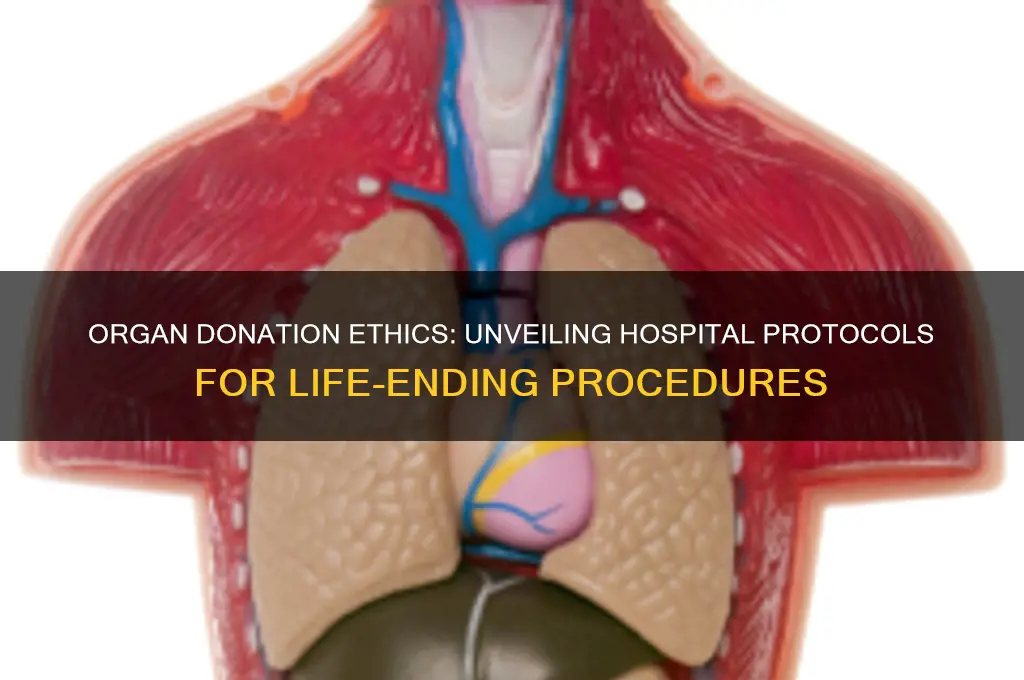 how does the hospital kill someone for organ donation