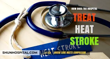 Emergency Treatment for Heat Stroke: Hospital Protocols