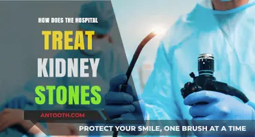 Hospital Treatment for Kidney Stones: What to Expect