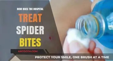 Effective Treatments for Spider Bites in Hospitals