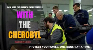 Chernobyl's Heroes: Hospital Workers' Role in the Disaster Response