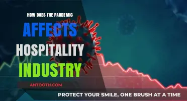 Pandemic's Impact on Hospitality: A Struggle to Survive