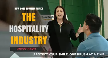 Tourism's Impact on Hospitality: A Complex Relationship