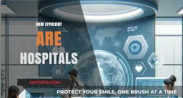 Maximizing Healthcare: Evaluating Hospital Efficiency and Patient Outcomes