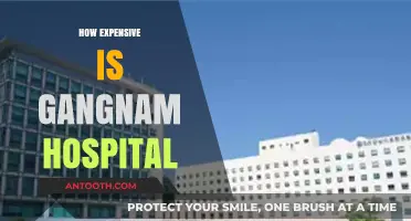 Gangnam Hospital Costs: Unveiling the Price Tag of Premium Healthcare