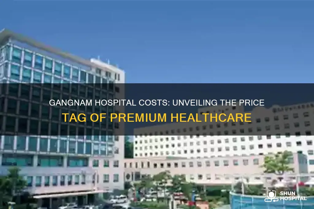 how expensive is gangnam hospital