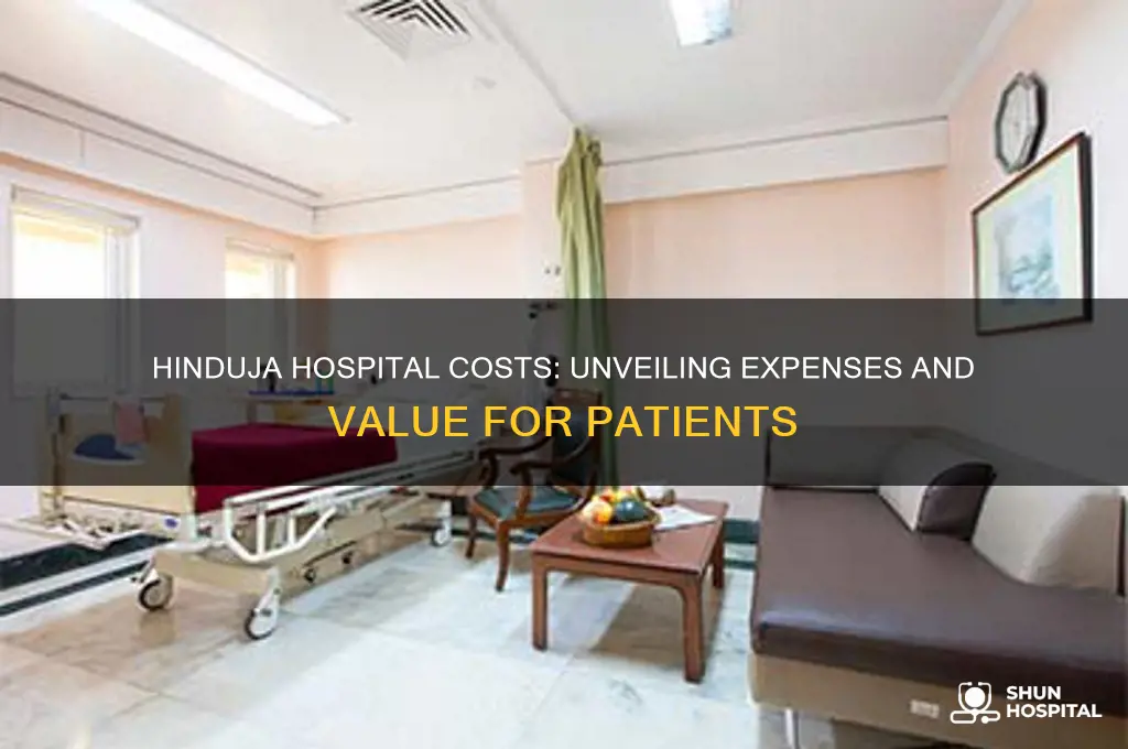 how expensive is hinduja hospital