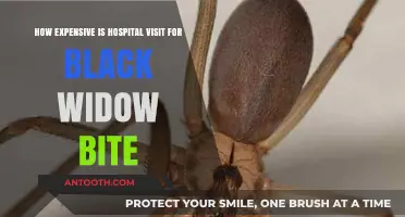 Black Widow Bite: Uncovering the Cost of Hospital Treatment