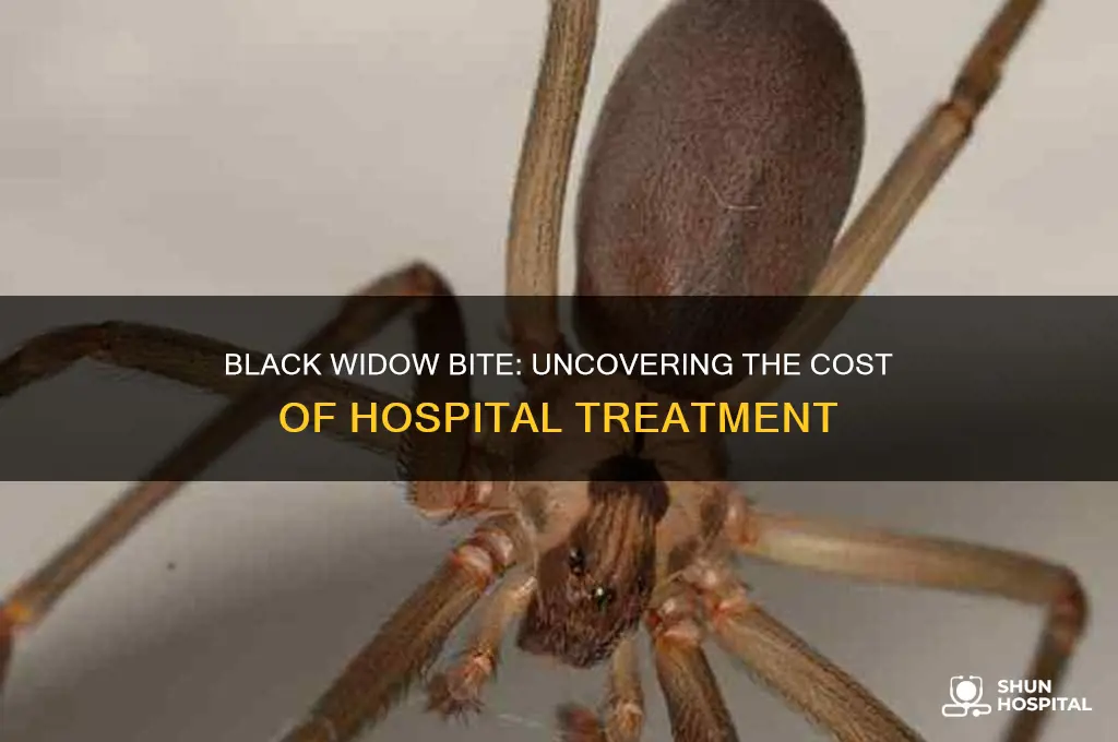 how expensive is hospital visit for black widow bite