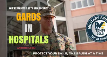 Arming Hospital Security Guards: Balancing Safety and Budgetary Costs