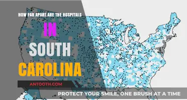 South Carolina Hospital Distances: Mapping Healthcare Accessibility Across the State