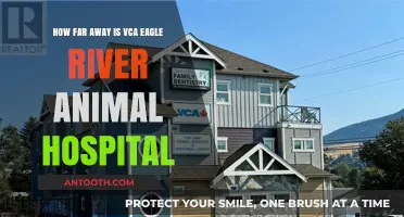 VCA Eagle River Animal Hospital: Distance and Directions Guide