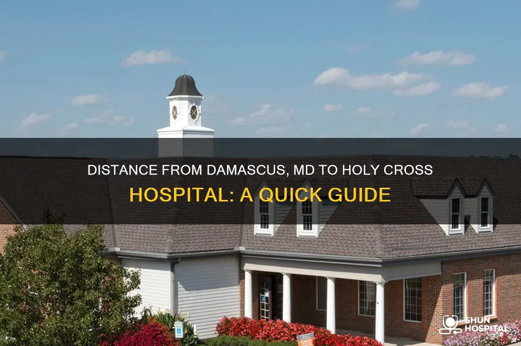 how far from damascus md to holy cross hospital
