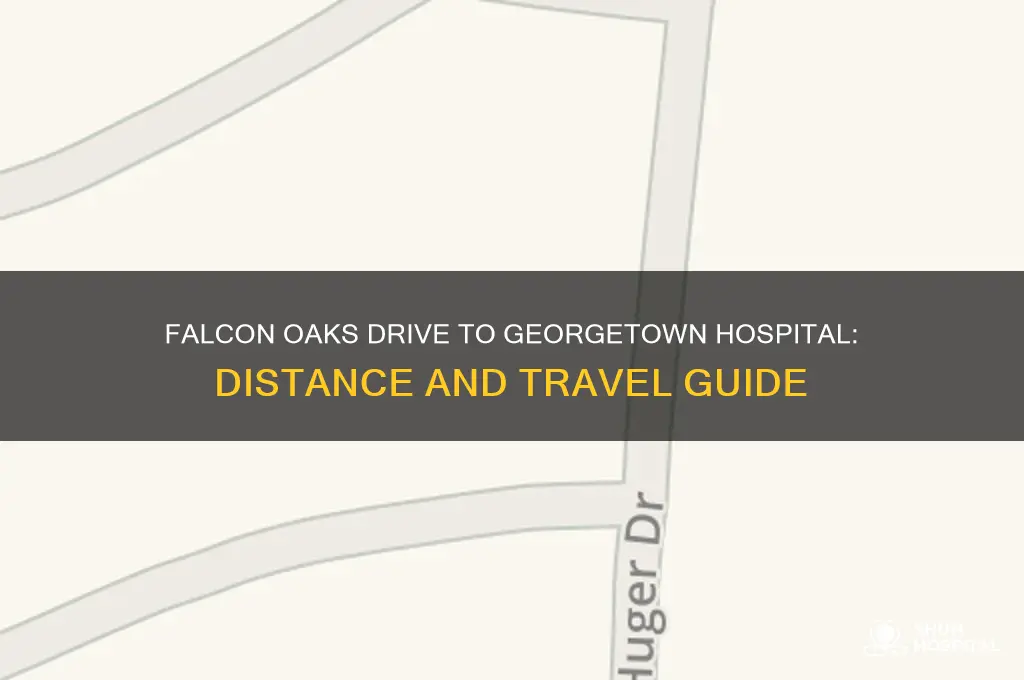 how far from falcon oaks drive leander to georgetown hospital