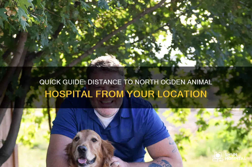 how far from here to north ogden animal hospital