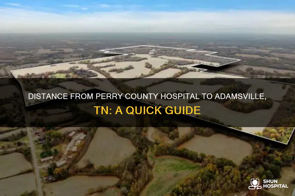 how far from perry county hospital to adamsville tn