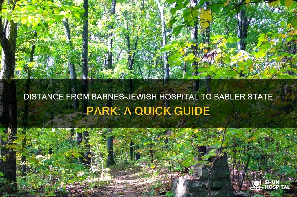 how far is babler state park from barnes jewish hospital