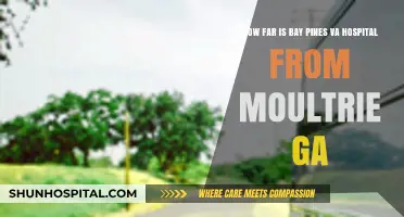 Distance from Moultrie, GA to Bay Pines VA Hospital: A Guide