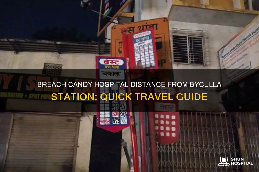 how far is breach candy hospital from byculla station