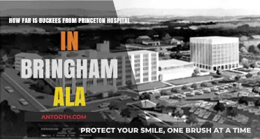Buc-ee's to Princeton Hospital: Distance Guide for Bringham, Alabama