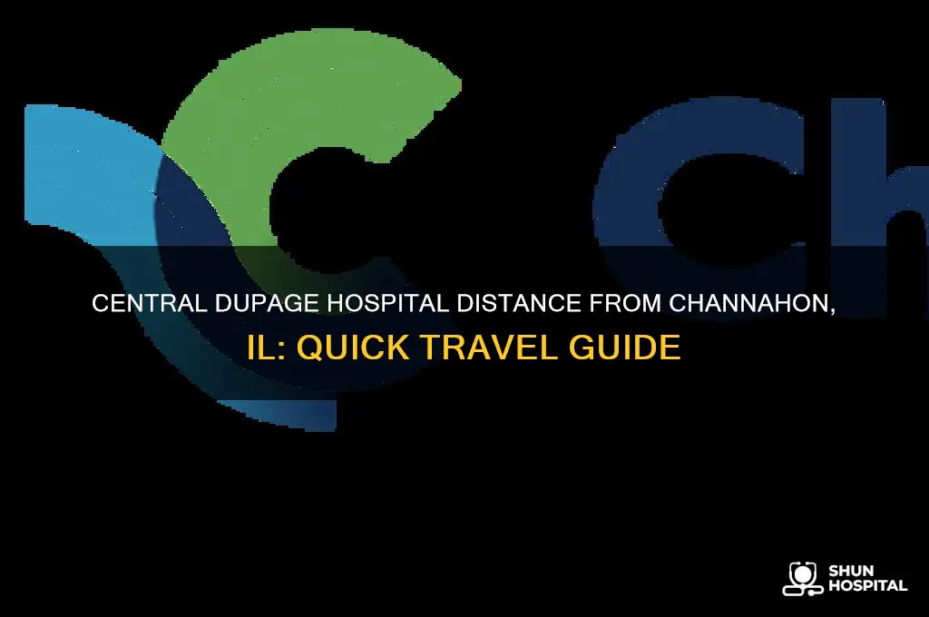 how far is central dupage hospital from channahon il