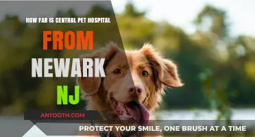 Central Pet Hospital's Distance from Newark, NJ: A Quick Guide