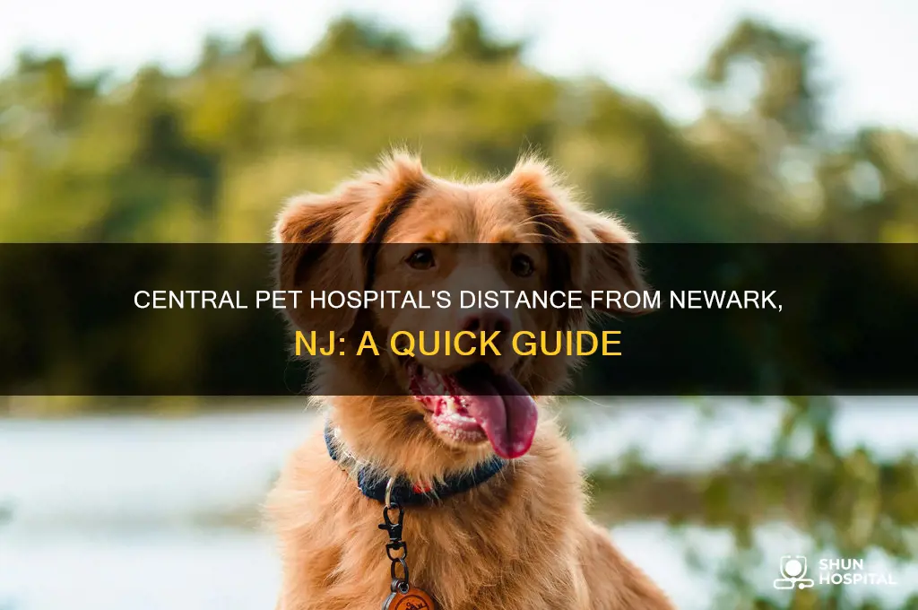 how far is central pet hospital from newark nj