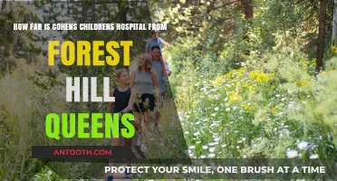 Distance from Forest Hills, Queens to Cohen Children's Hospital