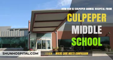Culpeper Animal Hospital to Middle School: Distance and Directions