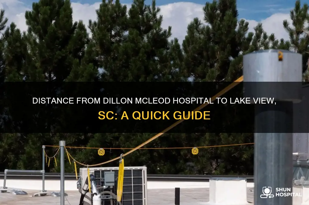 how far is dillon mcleod hospital to lake view sc