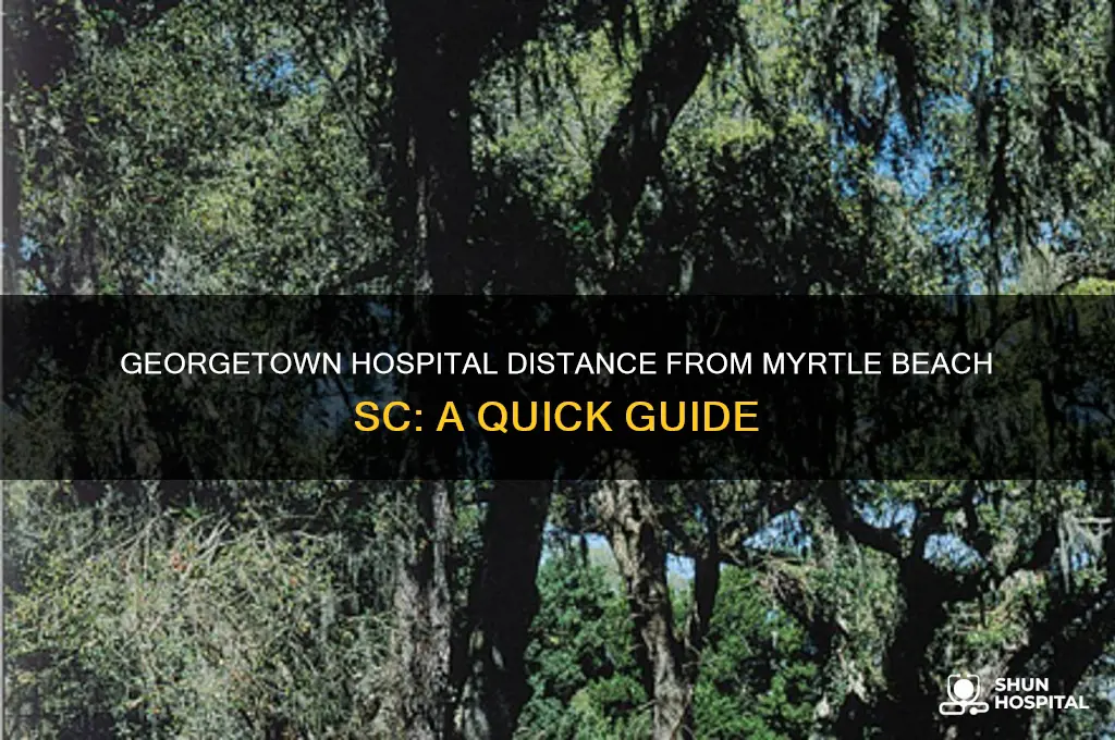 how far is georgetown hospital from myrtle beach sc