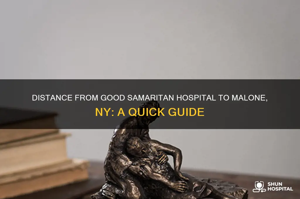 how far is good samaritan hospital to malone new york