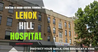 Grand Central to Lenox Hill: Navigating the Distance in NYC