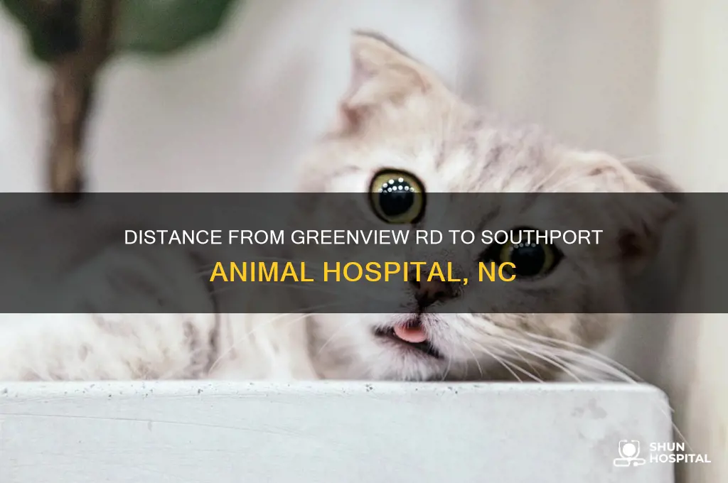 how far is greenview rd from southport animal hospital nc