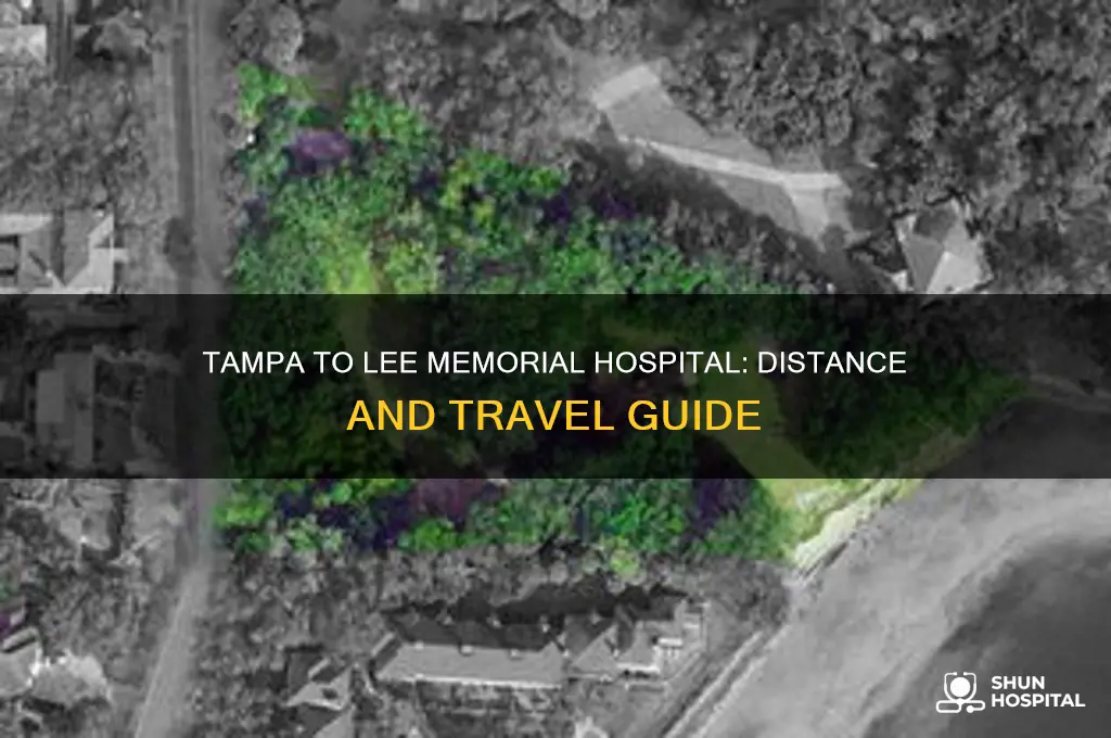 how far is it from tampa to lee memorial hospital