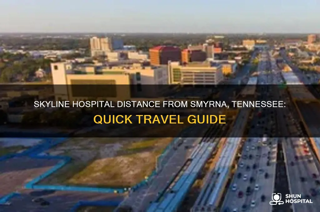 how far is it to skyline hospital from smyrna tennessee