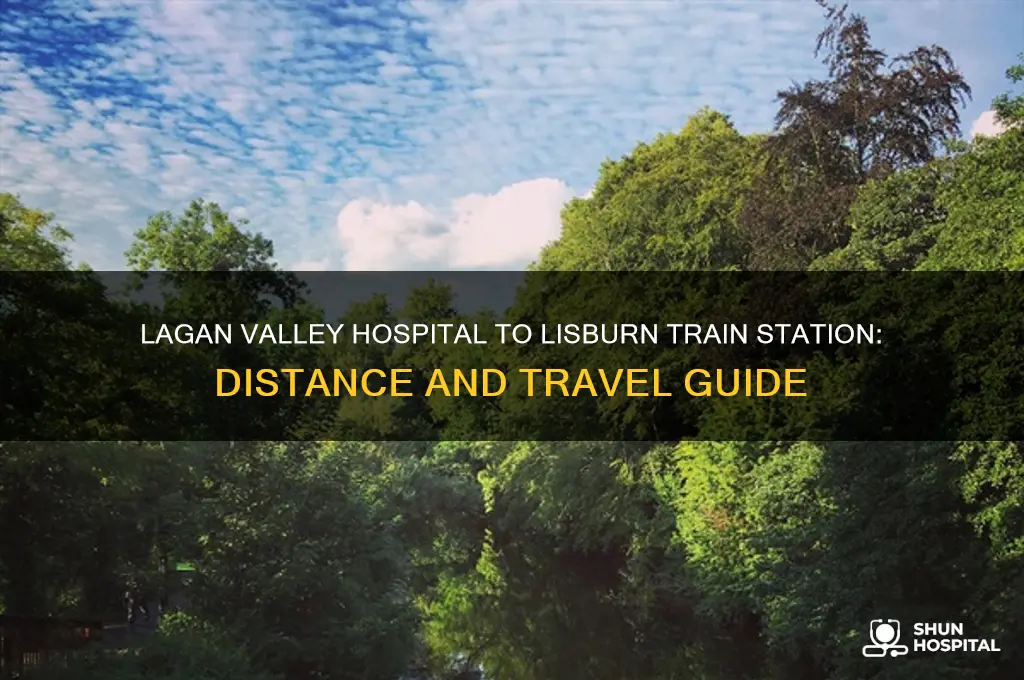 how far is lagan valley hospital from lisburn train station