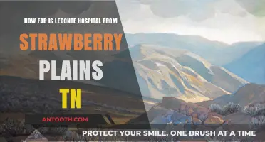 LeConte Hospital Distance from Strawberry Plains TN: A Quick Guide